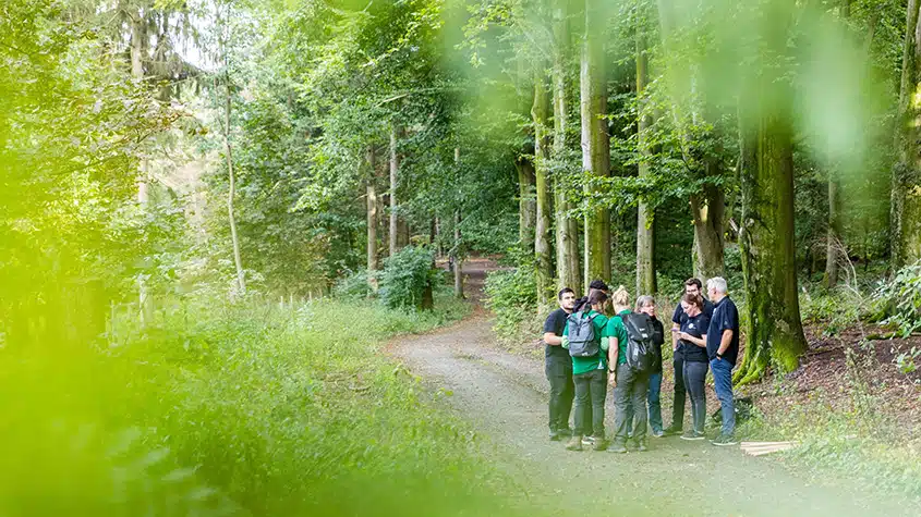 Führungskräfte Coaching in Viersen